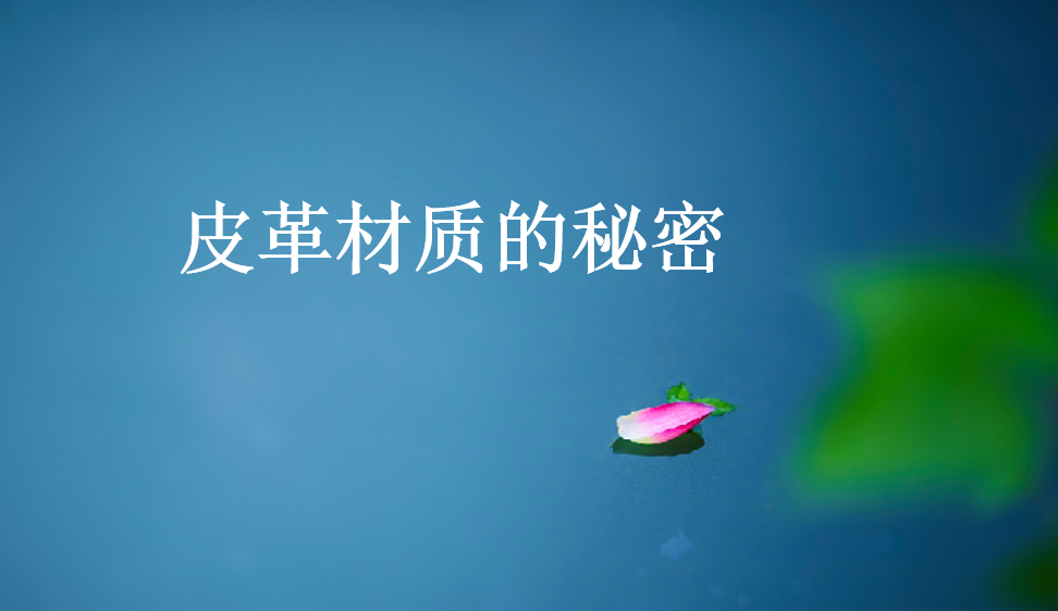 皮革材質(zhì)的秘密