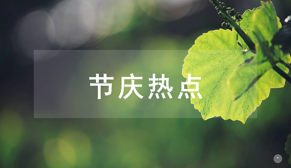 節(jié)日影視動(dòng)畫(huà)設(shè)計(jì)