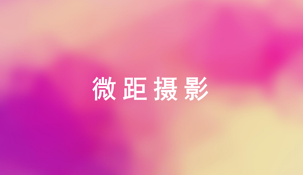 攝影藝術(shù)必須掌握的微距攝影