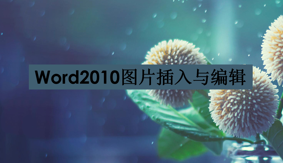  Word2010圖片的編輯與美化