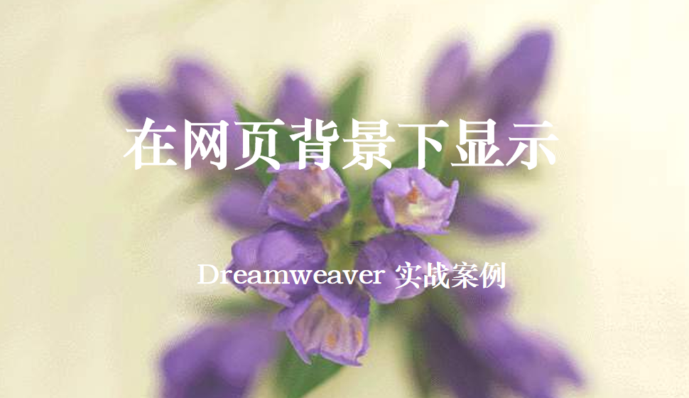  Dreamweaver 在網(wǎng)頁背景下顯示