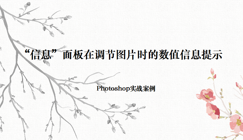 Photoshop “信息”面板在調(diào)節(jié)圖片時的數(shù)值信息提示