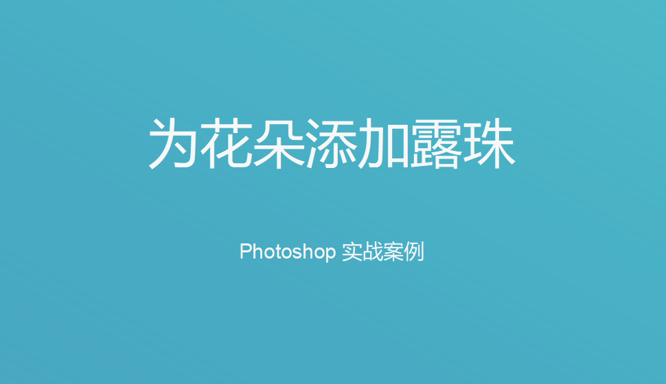 Photoshop 為花朵添加露珠