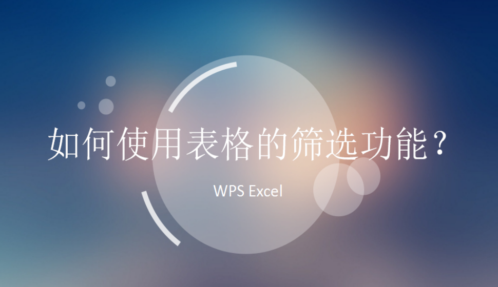 WPS Excel 如何使用表格的篩選功能？