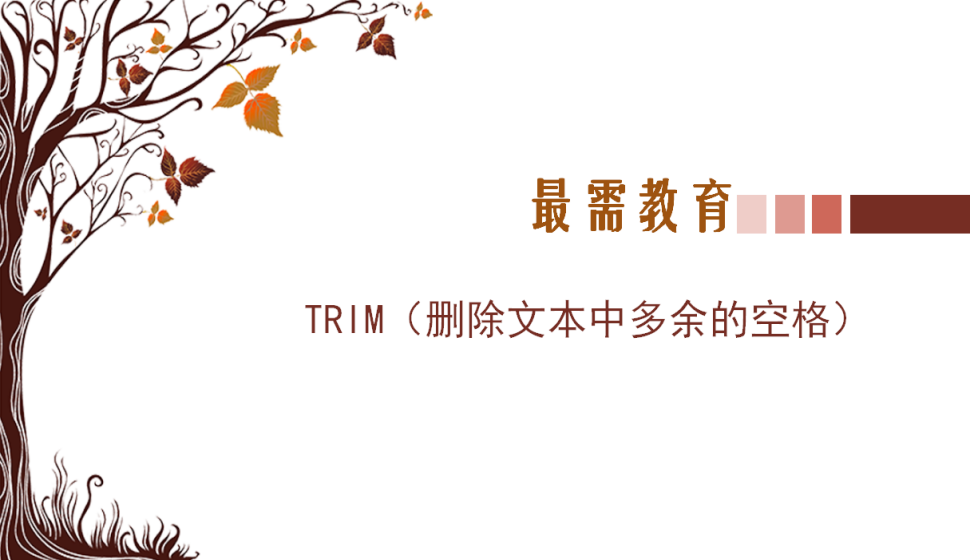 TRIM（刪除文本中多余的空格）