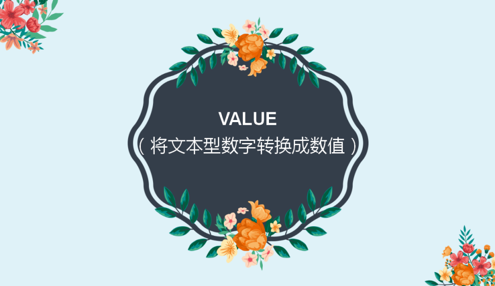 VALUE（將文本型數(shù)字轉(zhuǎn)換成數(shù)值）