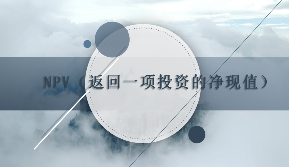 NPV（返回一項(xiàng)投資的凈現(xiàn)值）